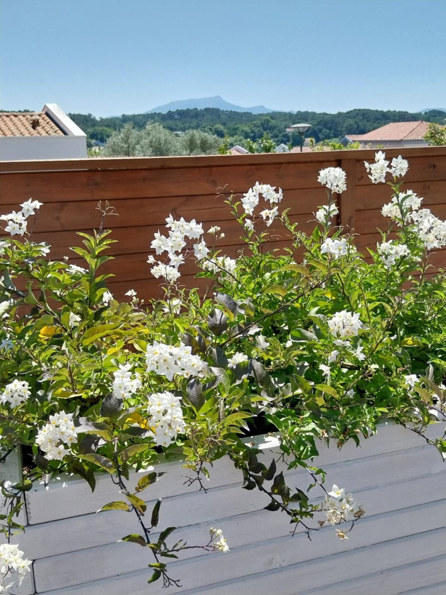 Studio Cocon Enea Bidart, Terrasse Et Parking Extérieur photo