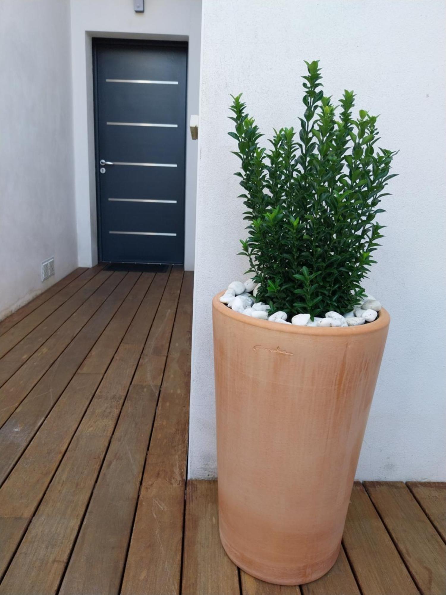 Studio Cocon Enea Bidart, Terrasse Et Parking Extérieur photo